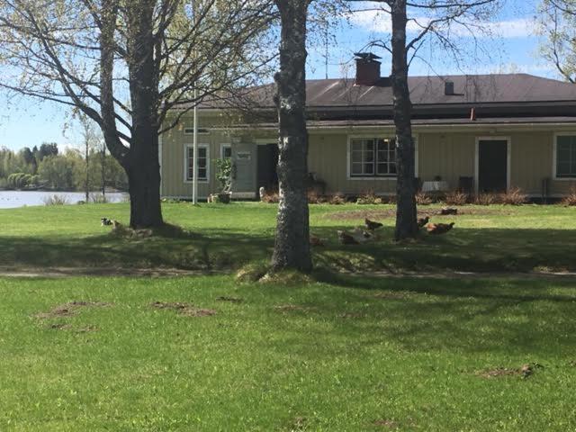 Lomatila Ollila Farm Stay Kerimäki Dış mekan fotoğraf