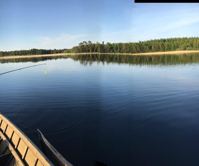 Lomatila Ollila Farm Stay Kerimäki Dış mekan fotoğraf