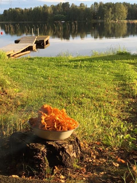 Lomatila Ollila Farm Stay Kerimäki Dış mekan fotoğraf